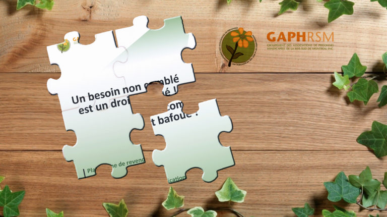 Lire la suite à propos de l’article SYNTHÈSE SUR LA PARTICIPATION SOCIALE